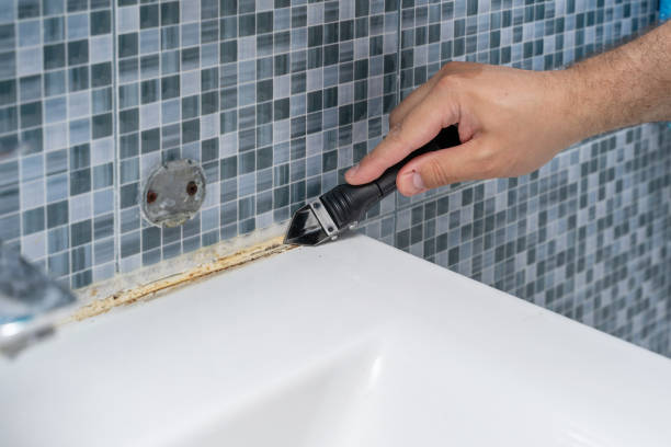 Best Localized Mold Remediation (e.g., coastal areas, humid climates) in Los Alamos, NM